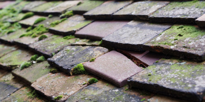 Tamworth roof repair costs